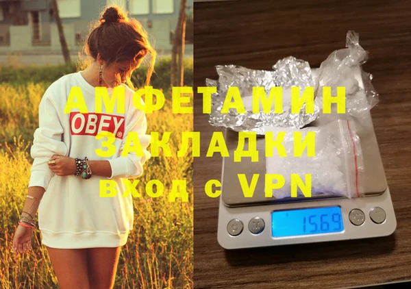 ГАЛЛЮЦИНОГЕННЫЕ ГРИБЫ Заволжск