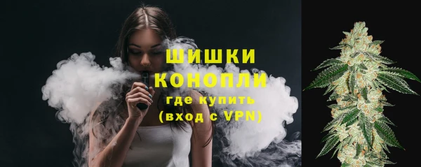 PSILOCYBIN Заволжье