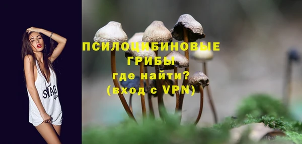 2c-b Заводоуковск
