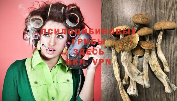 PSILOCYBIN Заволжье